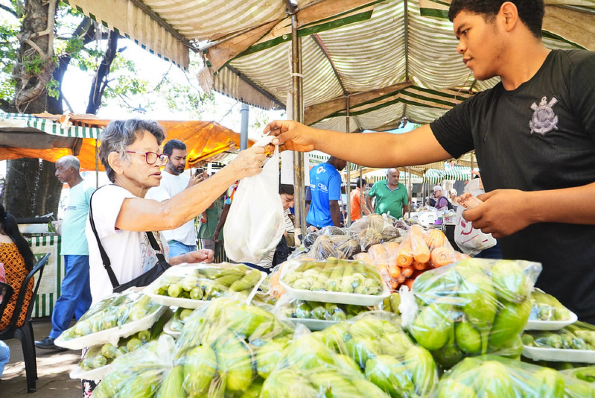 Idosa compra verduras e legumes frescos de um feirante em uma feira livre ao ar livre.