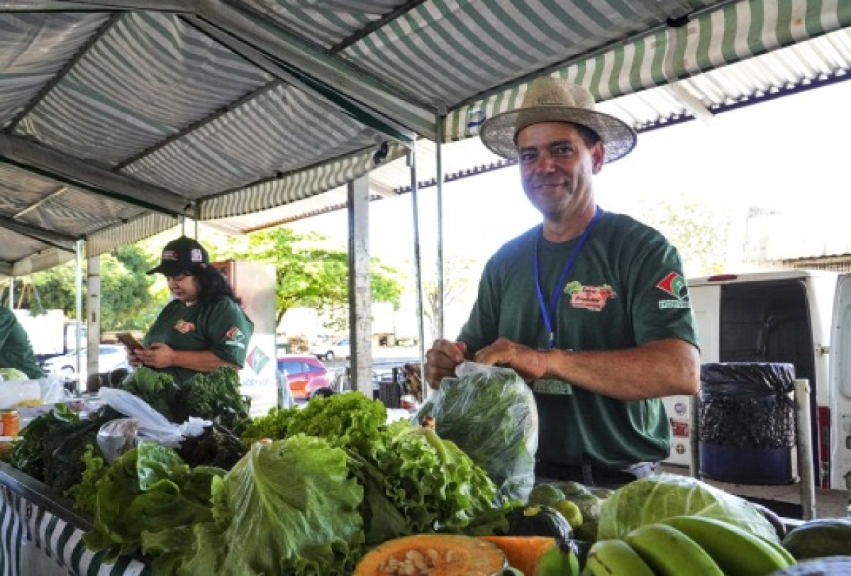 Feirante sorridente vende hortaliças frescas em uma barraca de feira coberta.