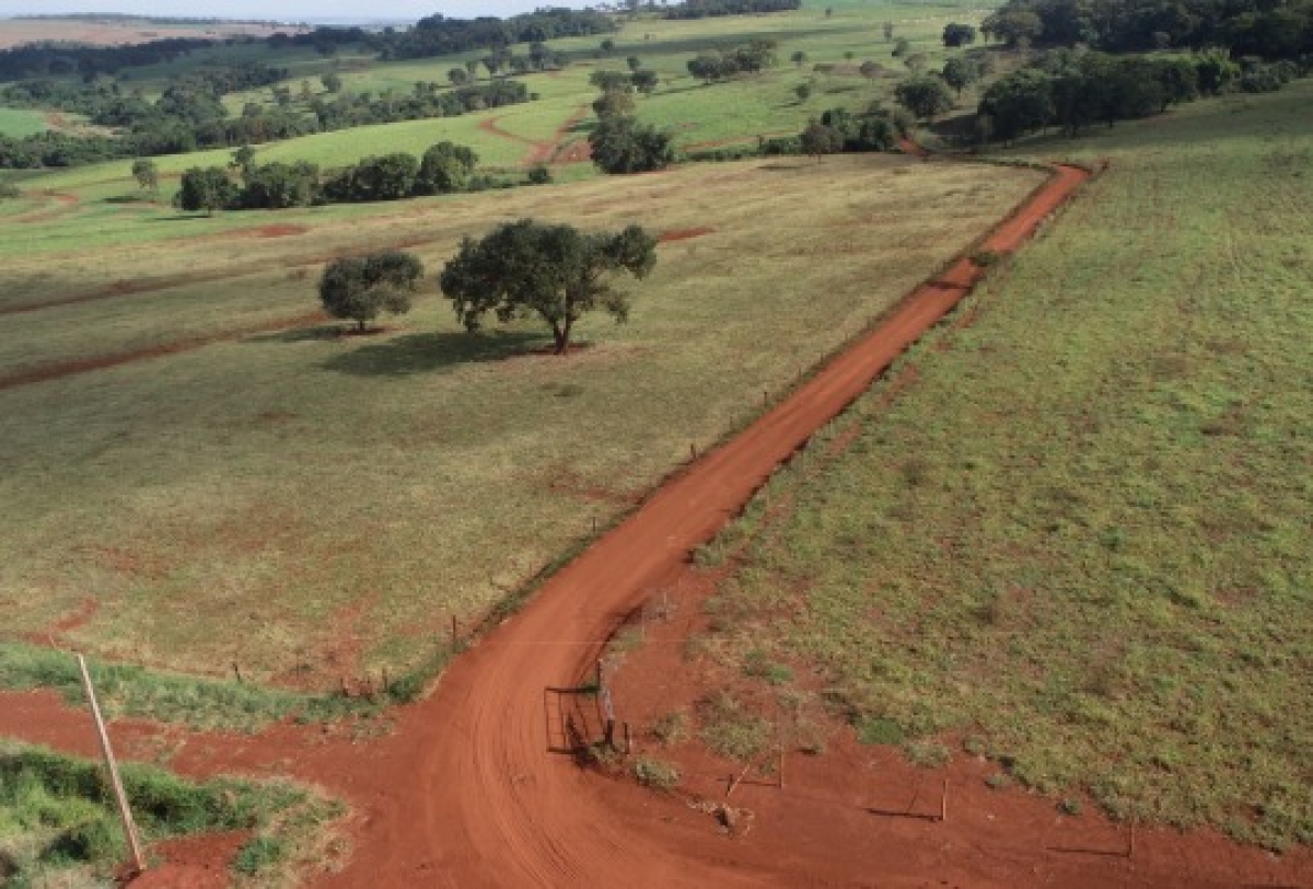 Uma estrada de terra sinuosa atravessa campos tranquilos, cercados por árvores e colinas suaves.