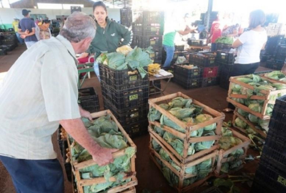 A imagem mostra um mercado movimentado onde várias pessoas manuseiam e organizam vegetais.