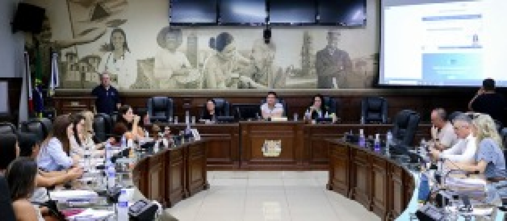 Imagem mostra uma visão ampla de uma reunião institucional realizada em um plenário.