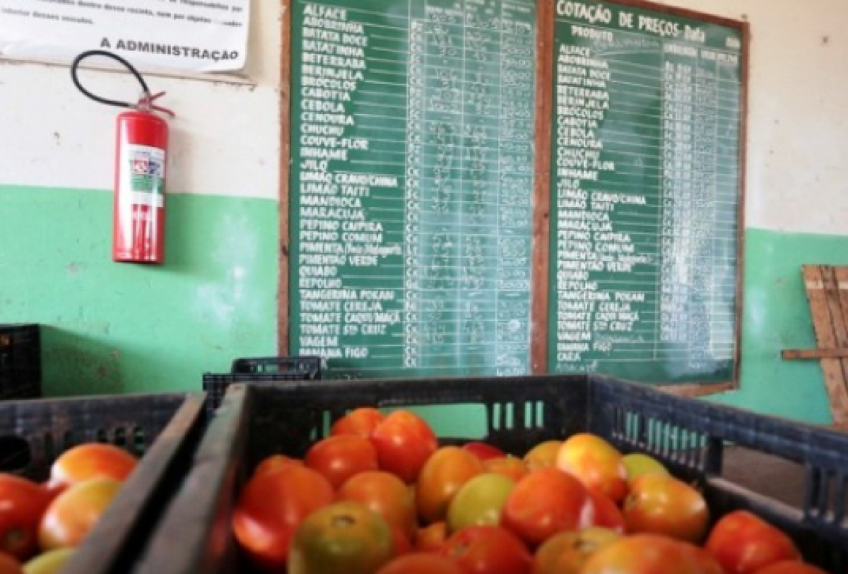 Imagem de tomates em frente a um quadro de preços diários de alimentos em uma central de abastecimento.