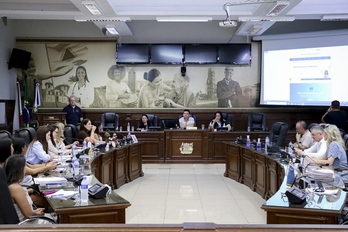 Imagem mostra uma visão ampla de uma reunião institucional realizada em um plenário.