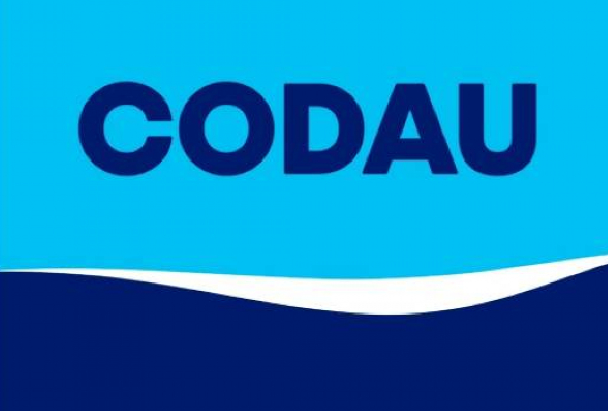 O logotipo tem o texto CODAU em letras azuis-escuras sobre um fundo azul dividido por uma forma ondulada branca.