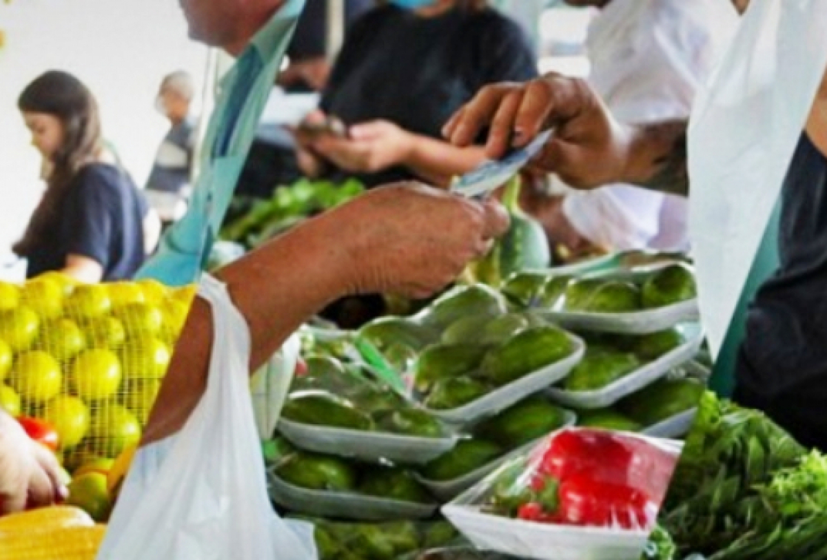 A imagem mostra uma interação em um mercado onde uma pessoa compra produtos frescos.