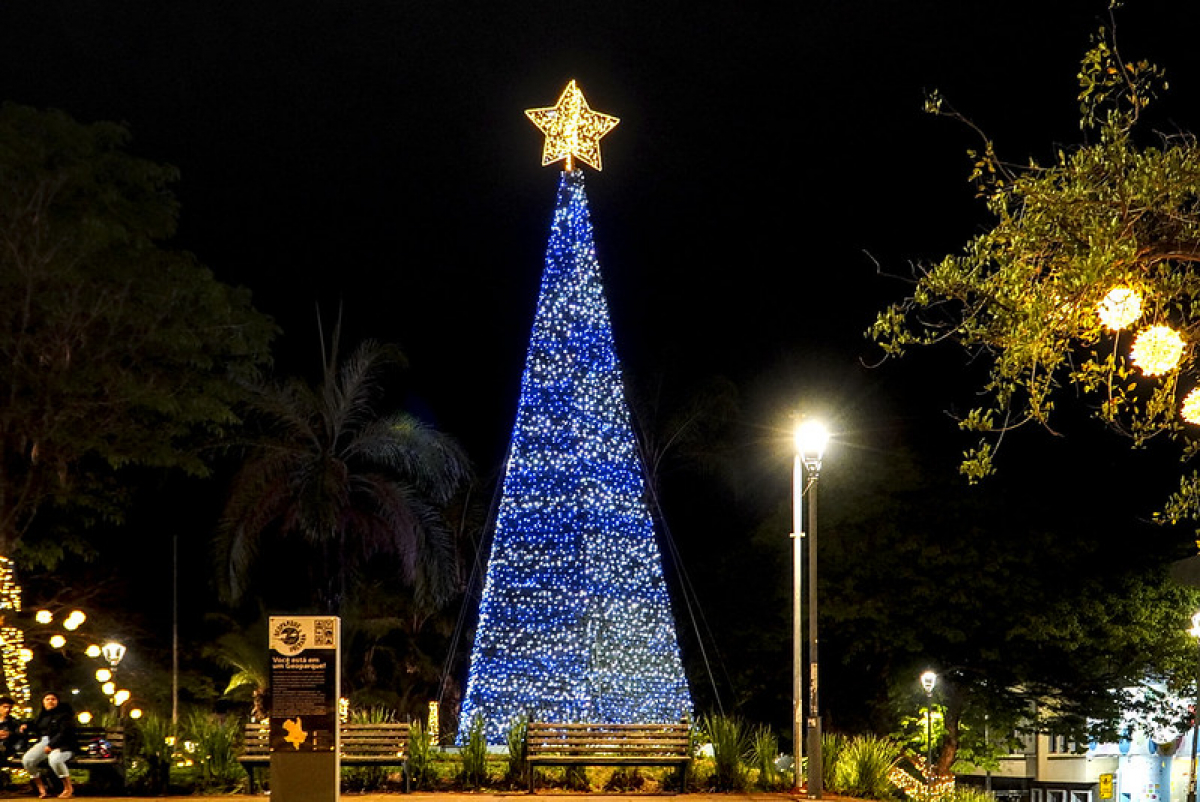 Árvore de Natal iluminada decora uma praça durante a noite, criando um clima festivo e acolhedor.