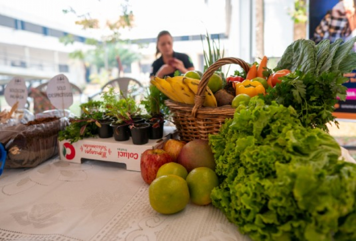 Mesa com frutas, verduras e mudas frescas expostas em uma feira.