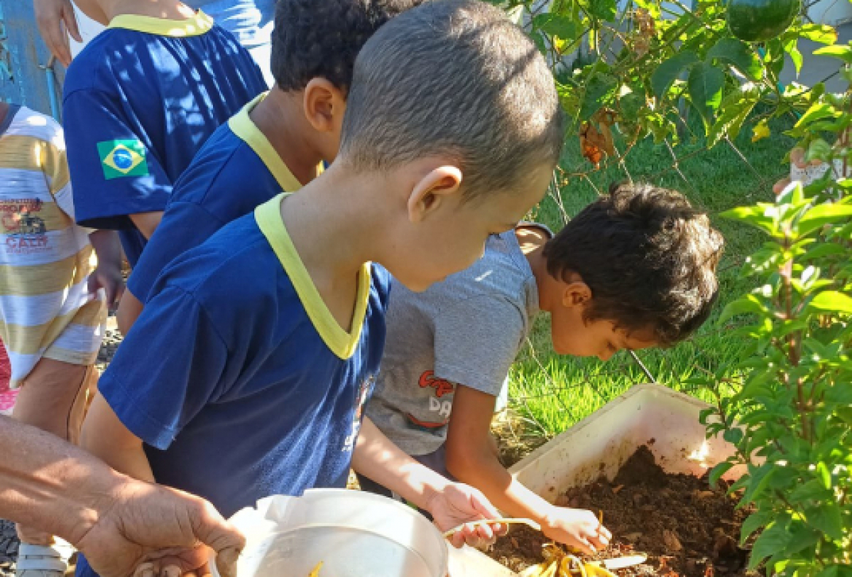 Crianças participam de atividade educativa de jardinagem ao ar livre. 
