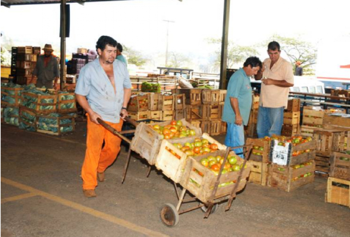 Trabalhadores movimentam caixas de tomates em centro de distribuição hortifrúti.