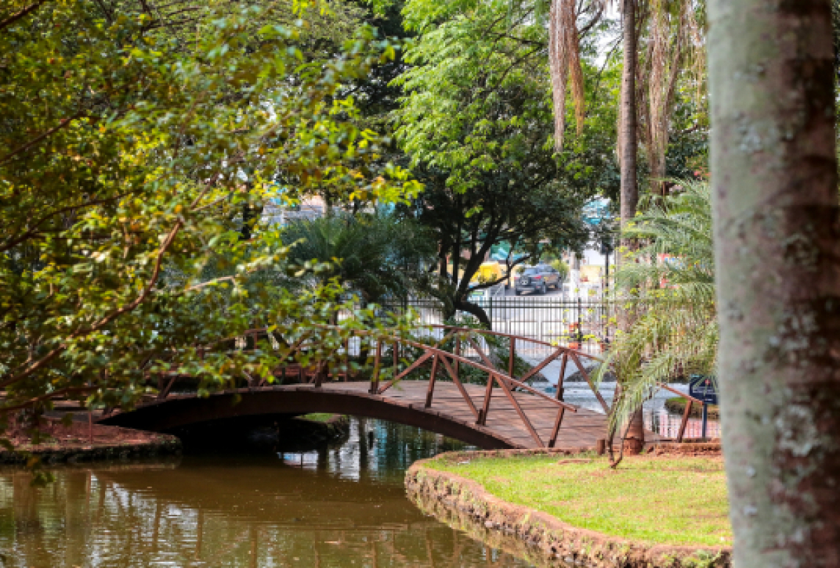 Parque arborizado com ponte de madeira sobre lago, proporcionando um ambiente tranquilo.