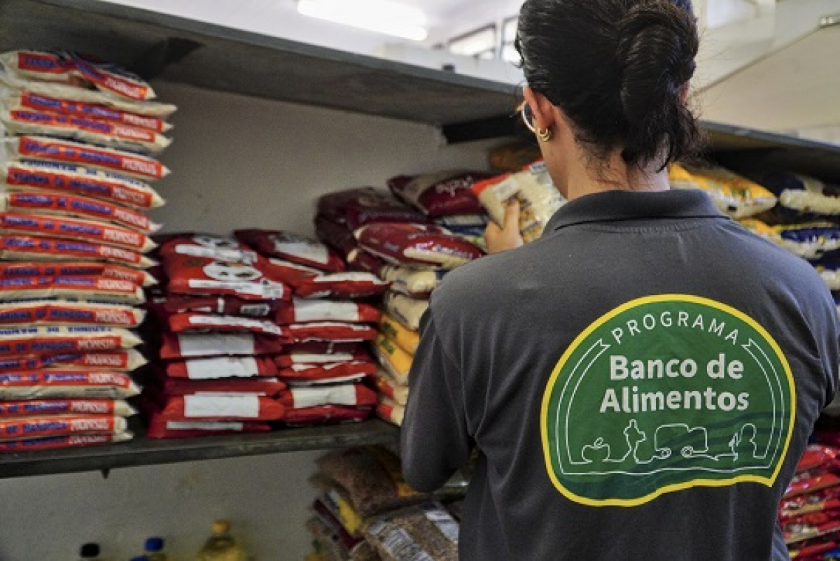Pessoa organiza pacotes de alimentos em prateleiras no Banco de Alimentos.