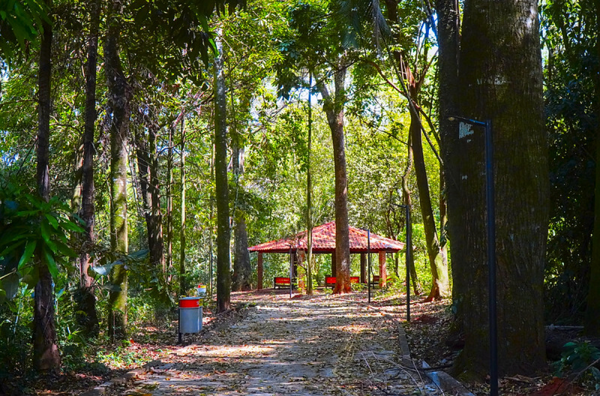 Trilha arborizada em meio à natureza, com bancos, lixeiras e um quiosque de telhado vermelho ao fundo.