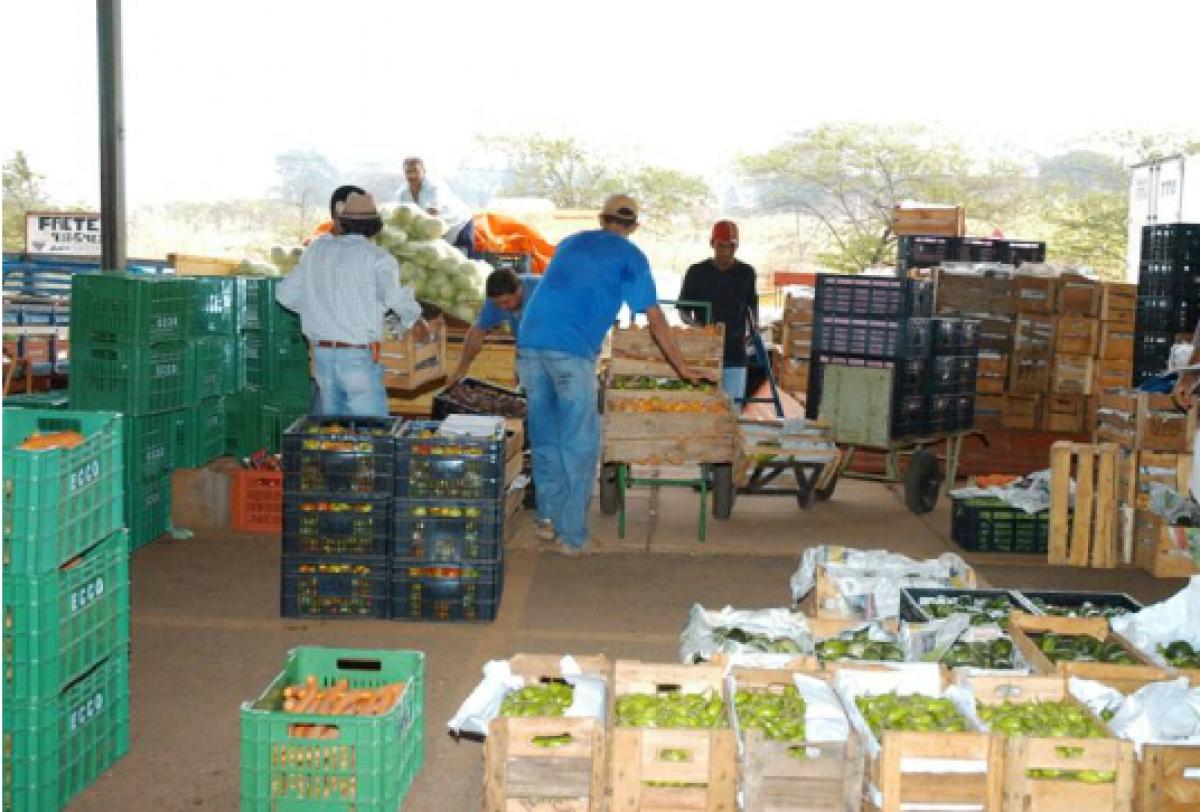 A imagem mostra uma cena movimentada em um mercado, onde várias pessoas organizam caixotes com produtos agrícolas durante o dia.