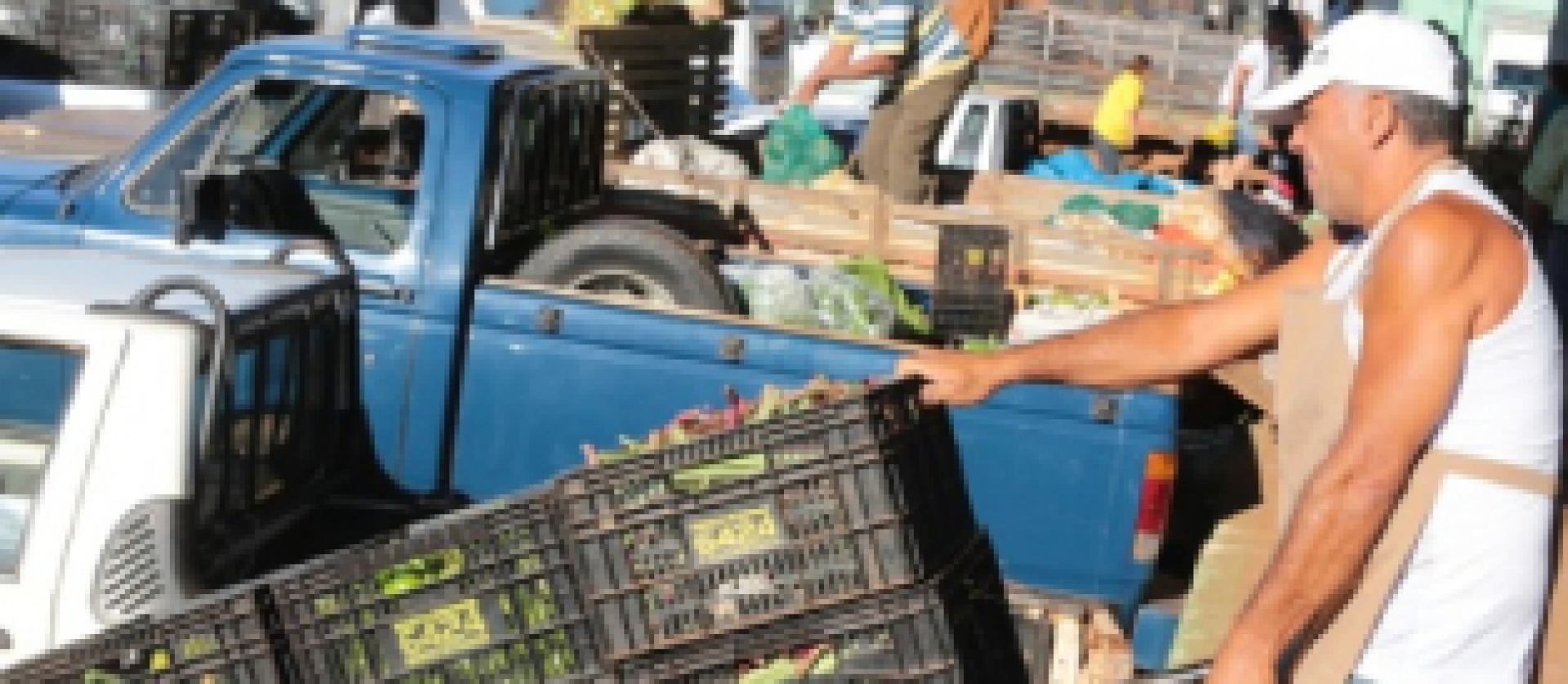 Trabalhador transporta caixas de hortaliças em carrinho de mão em central de abastecimento.