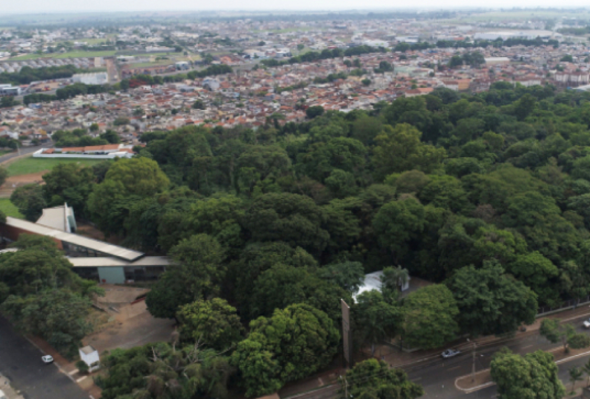 Foto aérea de uma área verde densa ao lado de um bairro urbano.