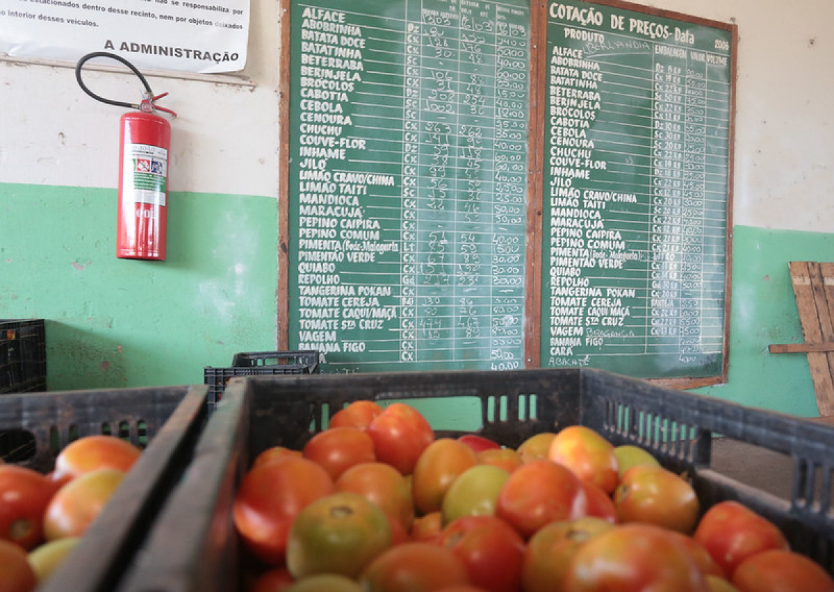 Imagem de tomates em frente a um quadro de preços diários de alimentos em uma central de abastecimento.
