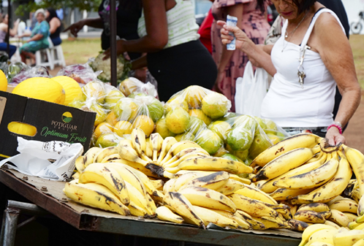 Um movimentado mercado ao ar livre com vibrantes exposições de frutas.