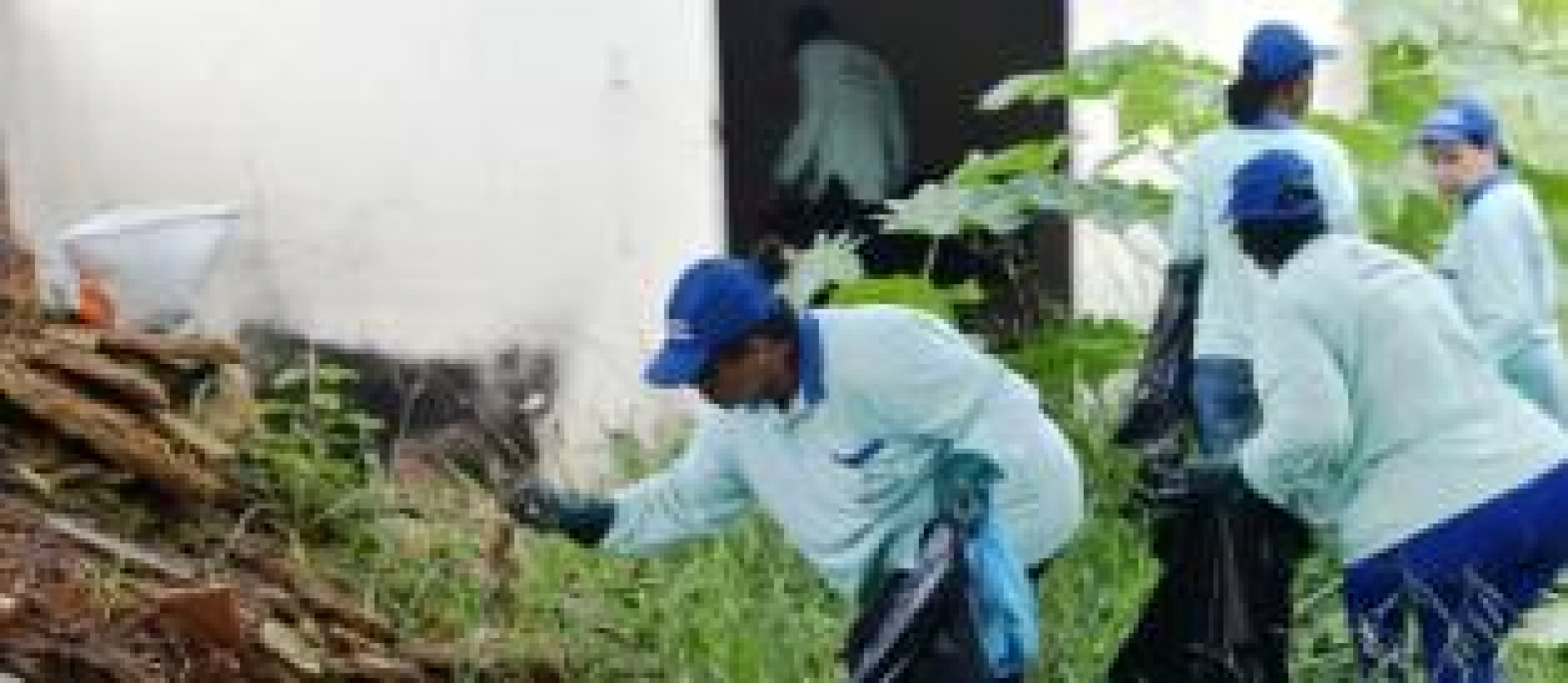 A imagem mostra um grupo de pessoas participando de uma atividade de limpeza, vestindo camisetas azuis claras e bonés azuis, coletando lixo em sacos pretos.