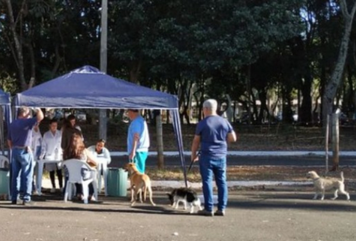 Campanha de vacinação antirrábica mobiliza tutores e cães em ação ao ar livre.